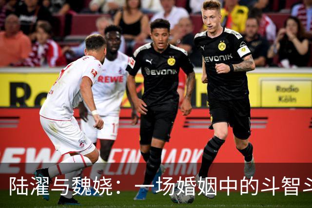 陆濯与魏娆：一场婚姻中的斗智斗勇与甜蜜对抗